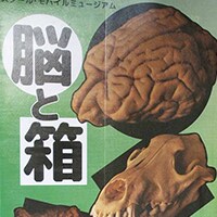 「脳と箱展」に行ってみよう！