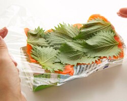 ボールにご飯と混ぜ合わせた(a)、みょうが、ごまを入れて切るように混ぜ、うちわであおいで冷ます。アボカドは横に5㎜厚さに切る。ラップを大きめに広げ、牛乳パックの幅に合わせてサーモンを並べ、青じそをのせる。ラップごと牛乳パックの型に入れる。