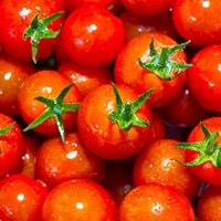 野菜のおいしさが長持ちする保存法