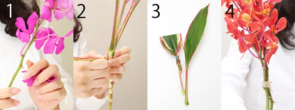 STEP2：下葉処理＆グルーピング