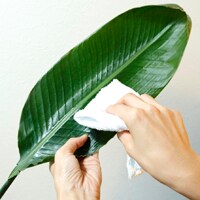 家にある“アレ”でリビング掃除してみよう！