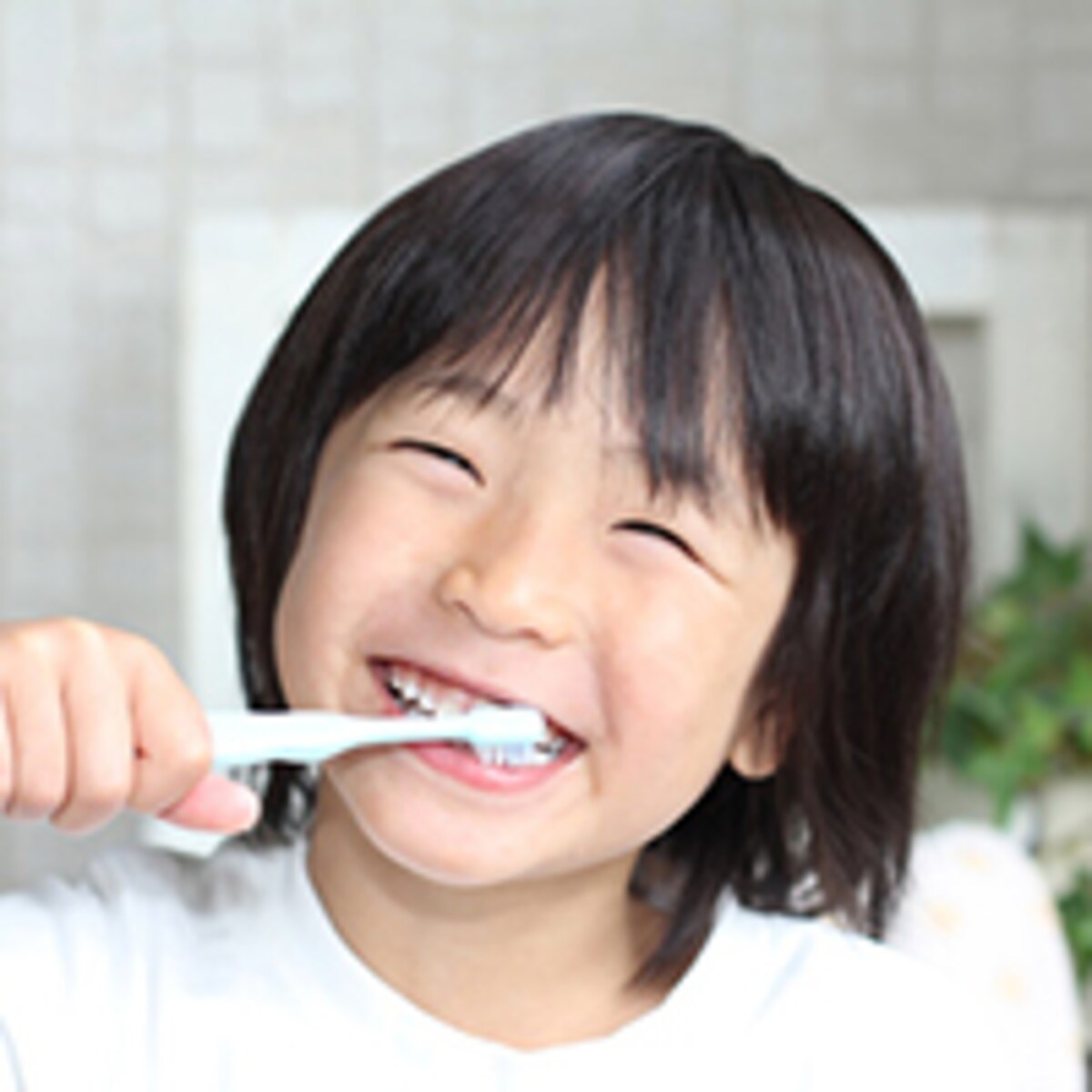 大人同様でOK？子ども歯みがきQ＆A