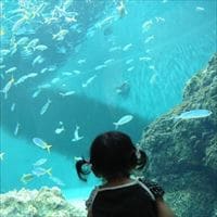 「赤ちゃんはどこから?」への答え方