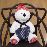 あると便利で安心、補助椅子ベルト