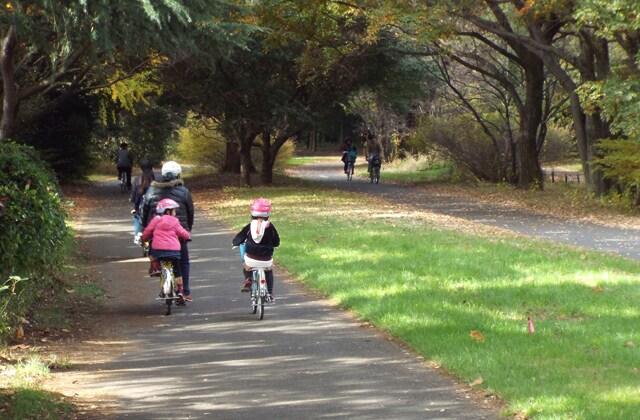 親子で走ろうサイクリングロード