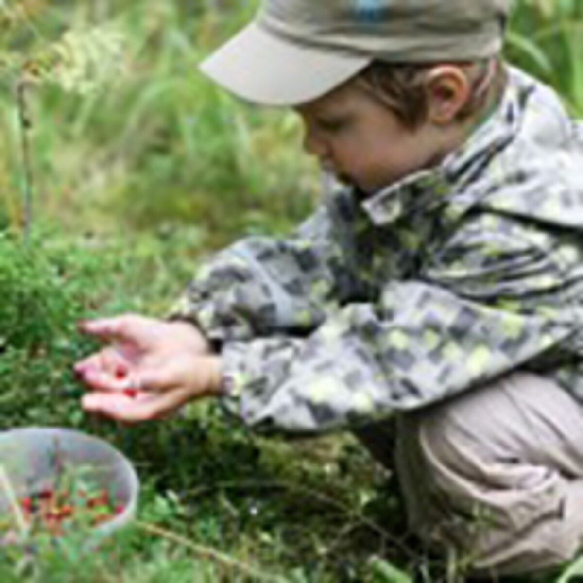 フィンランドの子どもはなぜ高学力？