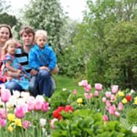 うらやましい!北欧の育児システム