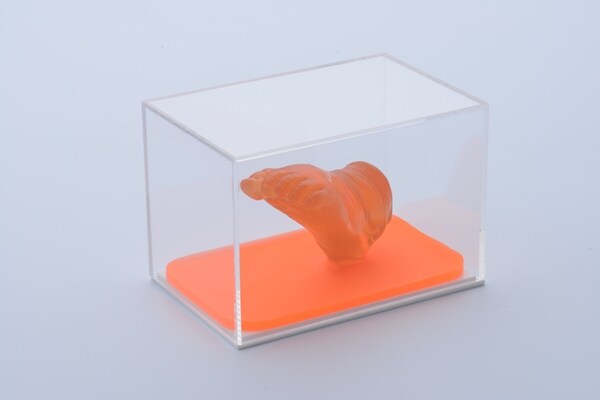 我が子の立体手型を家で作れるキット