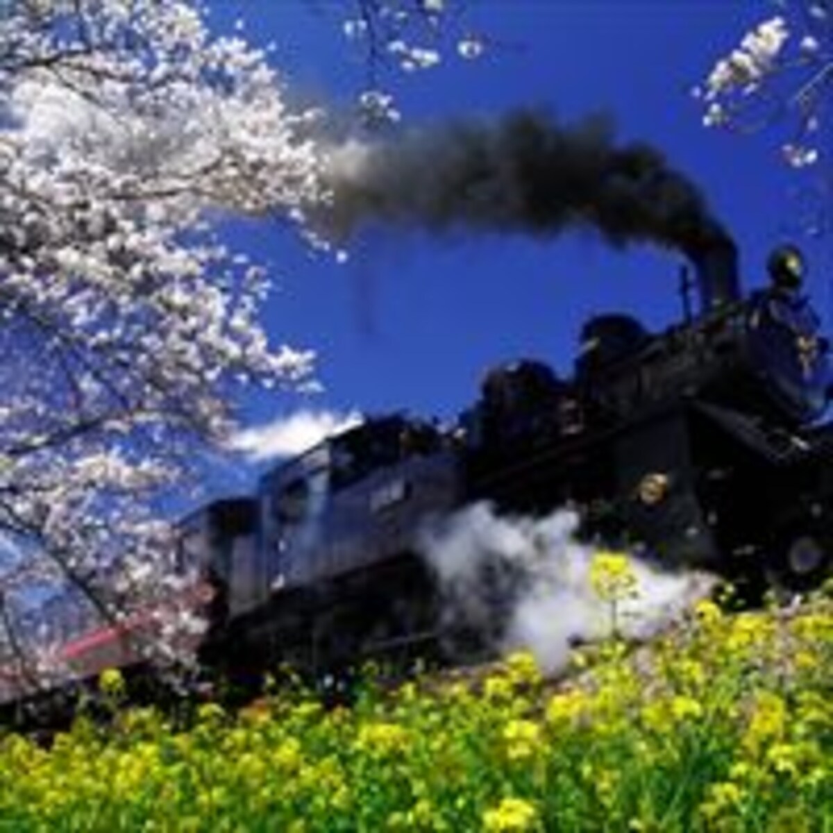 子鉄と行く！ 春のお出かけスポット