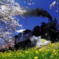 子鉄と行く! 春のお出かけスポット