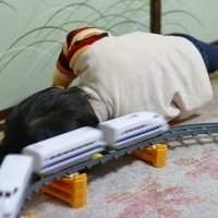 脅威!? わが家の子鉄によくある行動