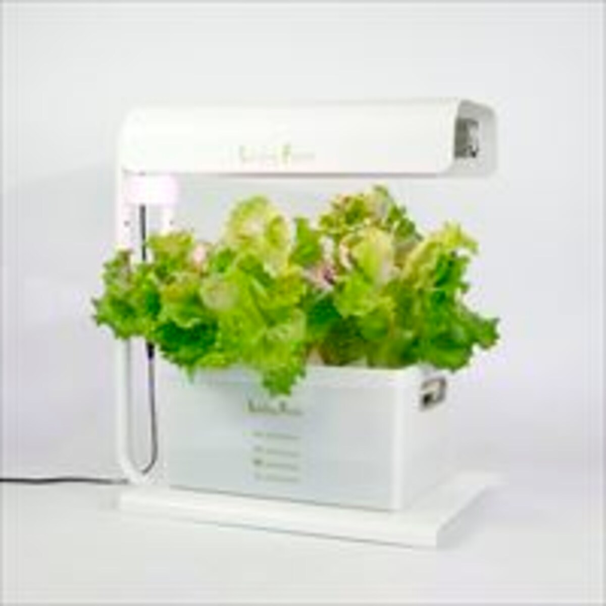 レベル別オススメ水耕栽培キット3選