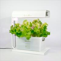 レベル別オススメ水耕栽培キット3選