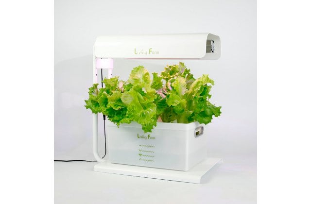 LEDを使って少し本格的に育ててみたいという人にオススメ。