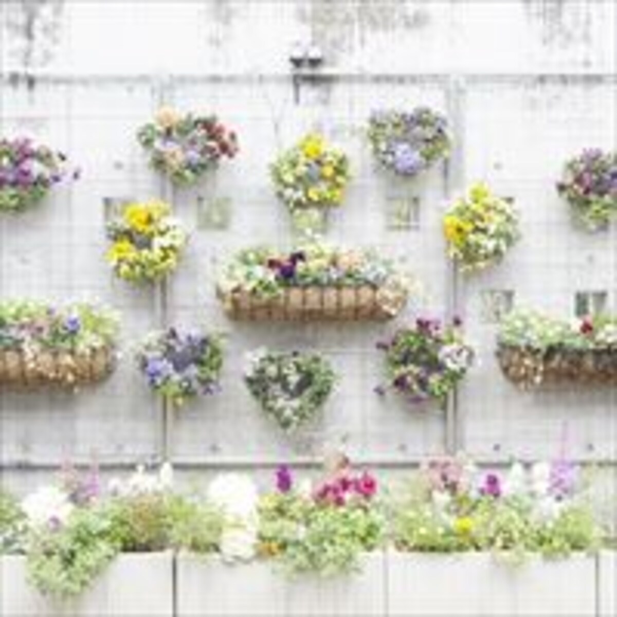 道端にヒントあり！初心者向きの花は