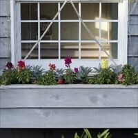 プロ直伝! 花の寄せ植えテクニック