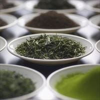 知るともっとおいしい!お茶の種類