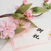 学資保険を選ぶときのポイントは？