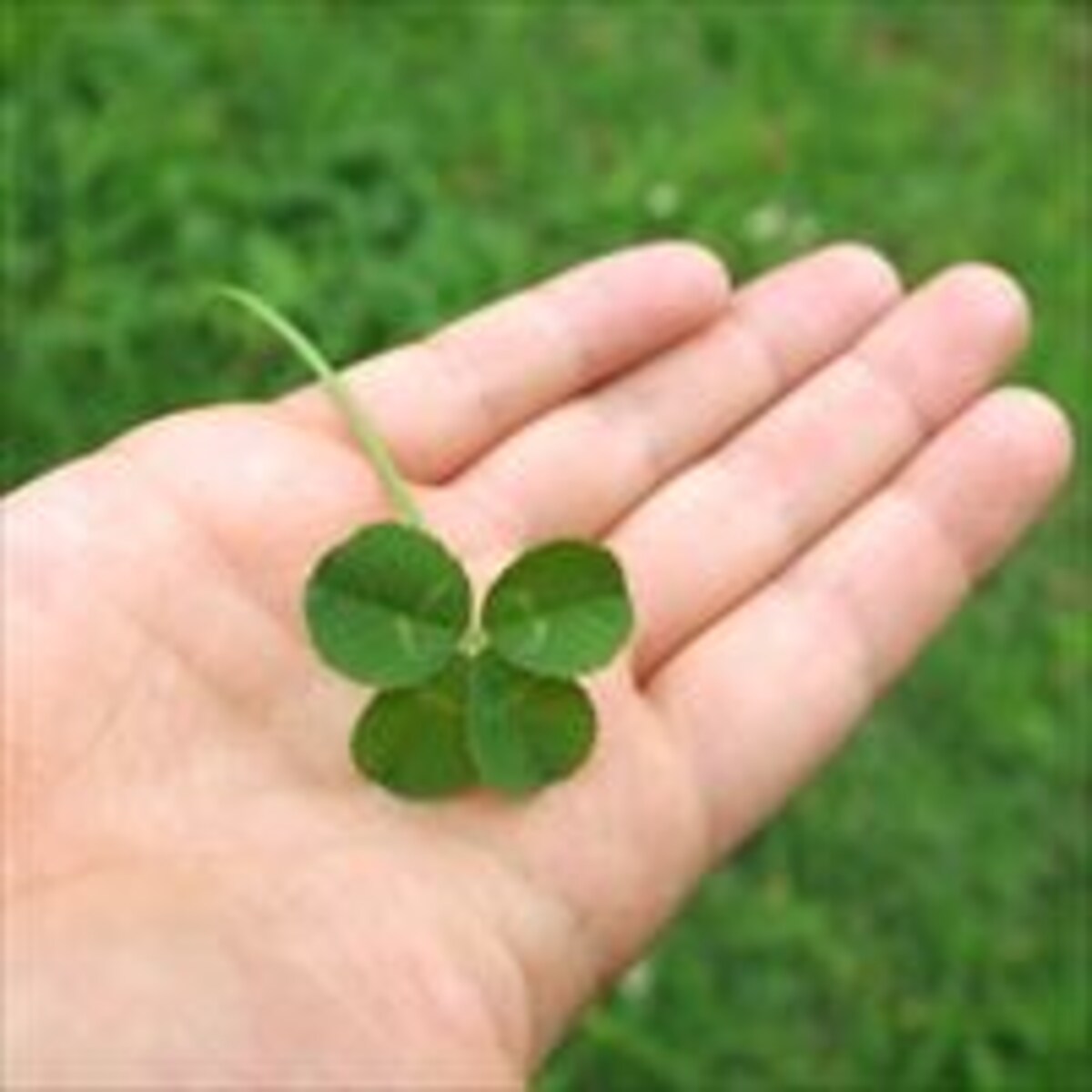 「モラハラ夫」は変えられるの？