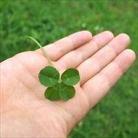 「モラハラ夫」は変えられるの?