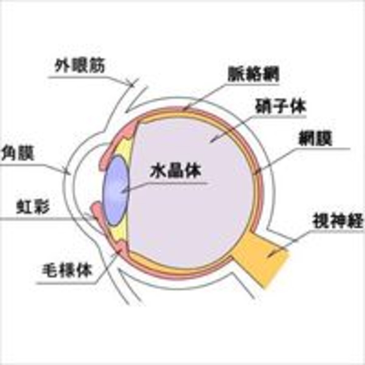 スマホやゲームがもたらす視力影響は