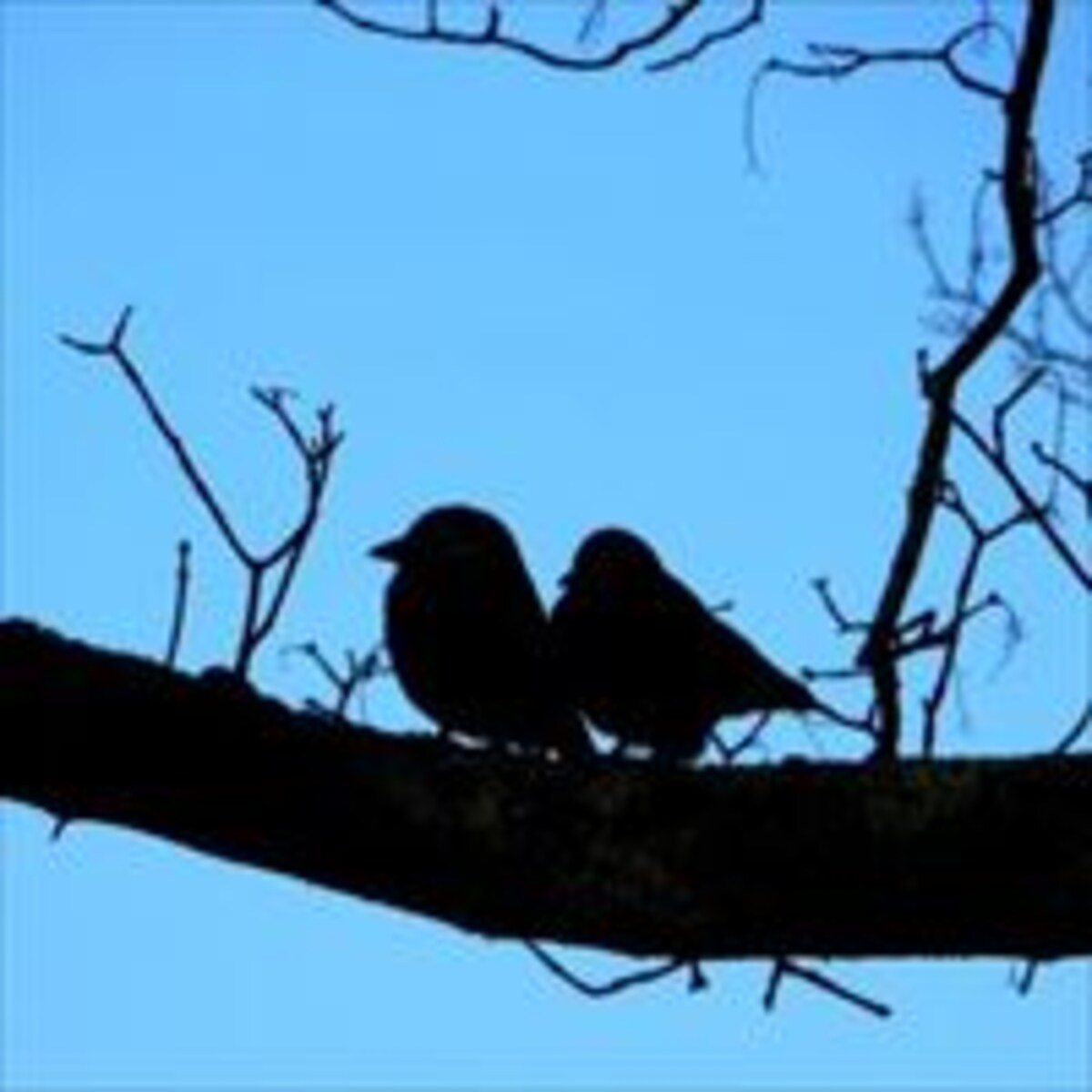 実録！　シングルマザーの恋愛体験談