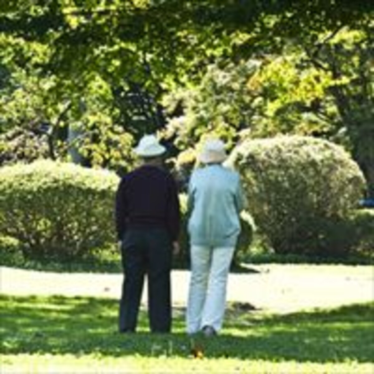 年金制度も追風？熟年離婚増加の背景