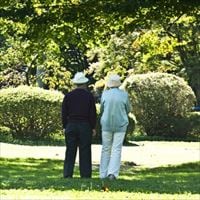 年金制度も追風?熟年離婚増加の背景