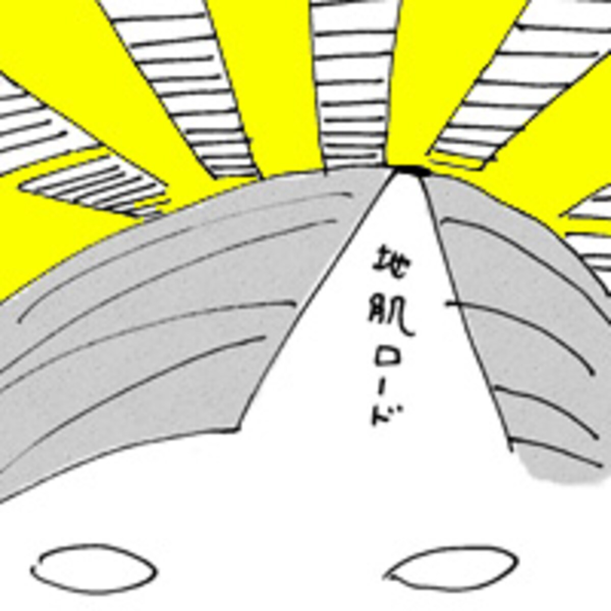 第二十二話　抜け毛フィーバー