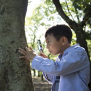 夏休みならではの知と感性の伸ばし方