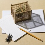 自由研究にもぴったりなイベント4選