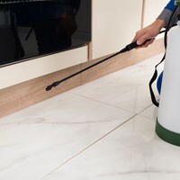 ゴキ退治は9月が本番。今からできる対策は?