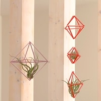 自由研究で作ろう！　話題のモビール“ヒンメリ”