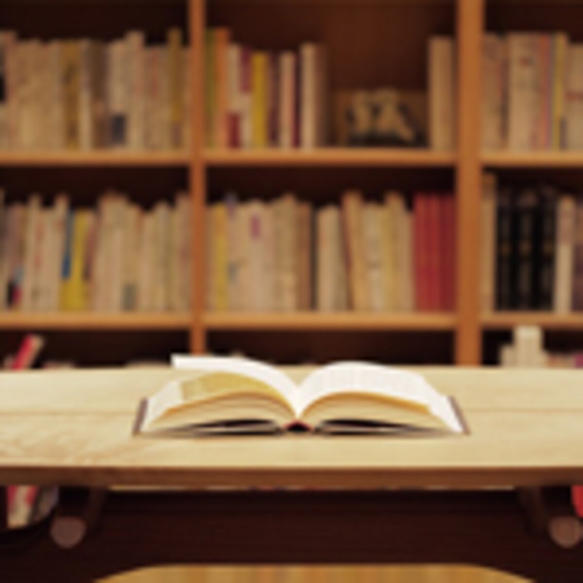 文系学部の改廃に、怒りの声多数