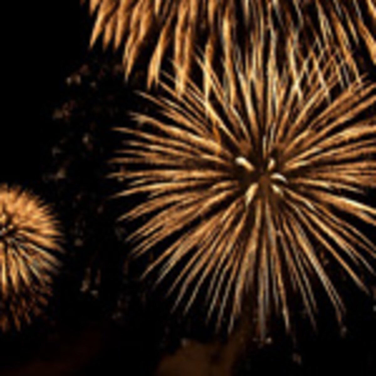 この夏最後の思い出に！　週末おでかけイベント5選