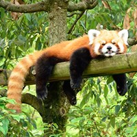 実は脳卒中の場合も！勘違い熱中症に注意