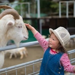 「秋の動物園」を3倍楽しむポイント