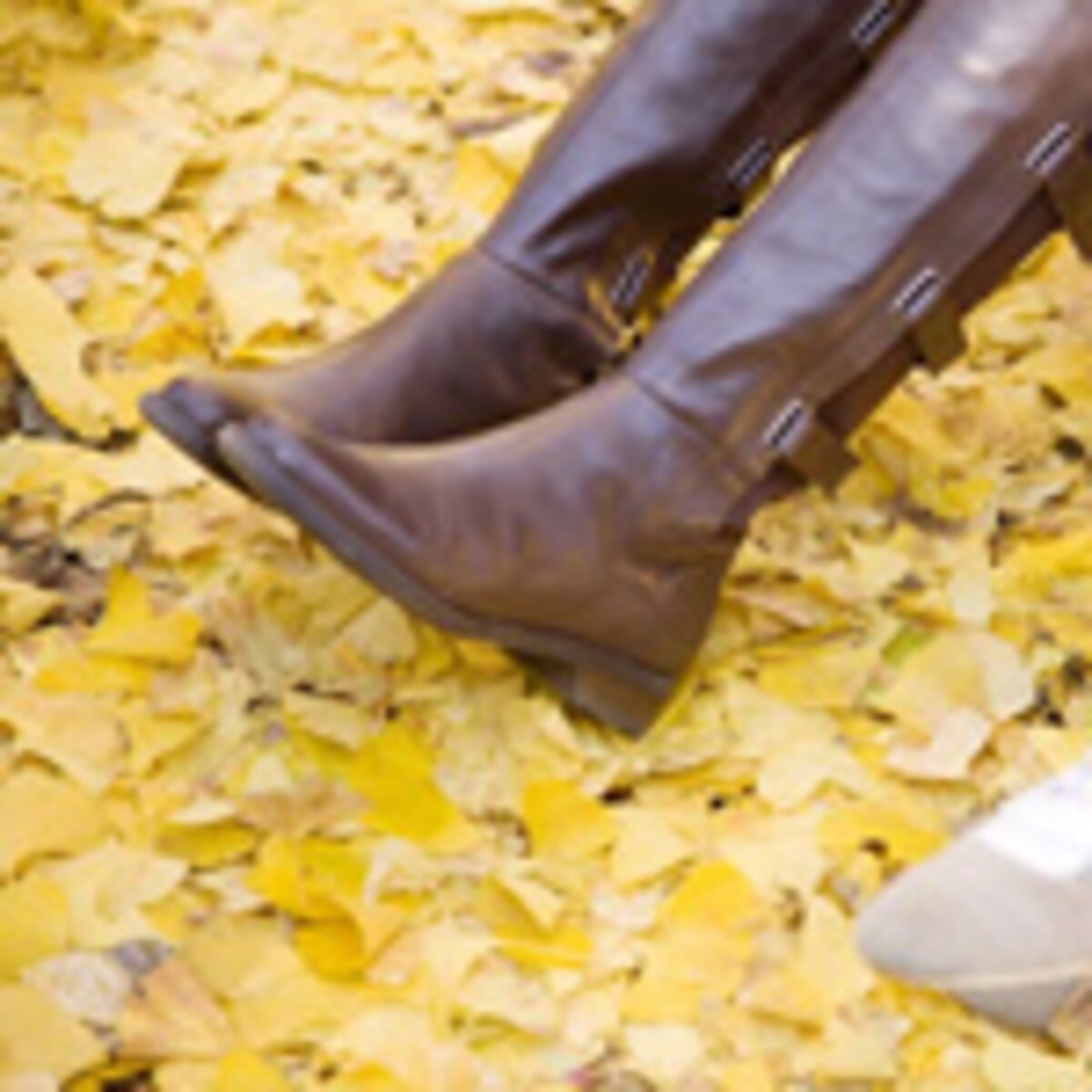 革製ブーツ、正しいカビ撃退法は？