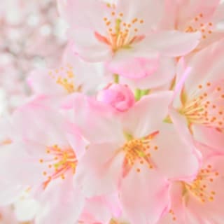 離婚よりもラク？　卒婚のメリットとは