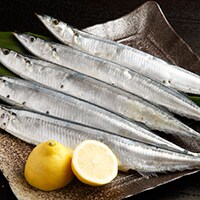 サンマが高級魚に？不漁と高級化の理由は