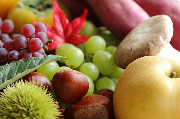 3連休に行く!関東の味覚狩りスポット