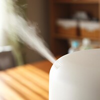 加湿器で雑菌だらけの部屋になる!?