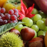 3連休に行く！関東の味覚狩りスポット