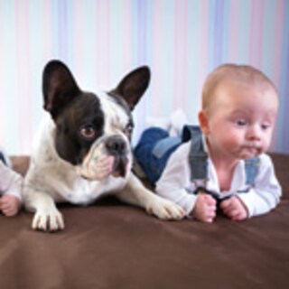 ペットとのふれあい、子どもの心をどう変える？