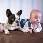 ペットとのふれあい、子どもの心をどう変える？