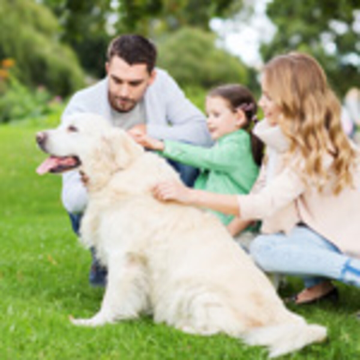 子どもに悪影響なペットの飼い方とは？