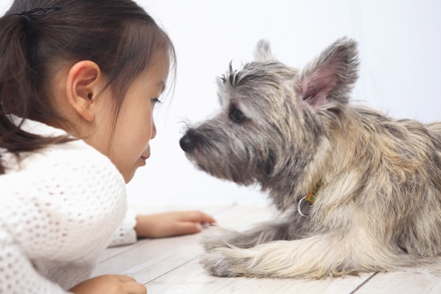 子どもに悪影響なペットの飼い方