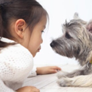 ペットから子どもへ、キケンな病原菌○○とは？