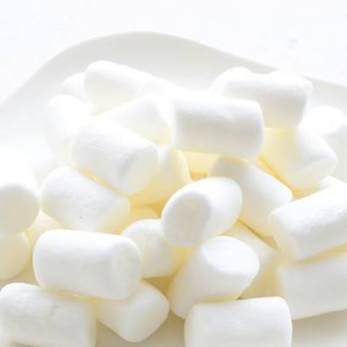 DaiGoが解説！子どもの将来がわかる「マシュマロテスト」とは？