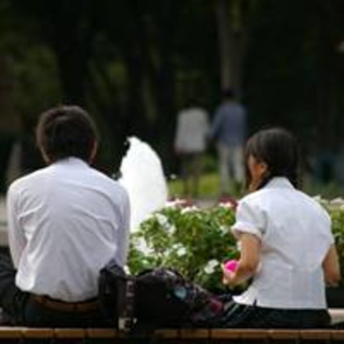 生徒間で性器の画像を送る行為も！深刻化するスクハラ問題